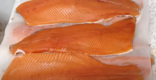 How long does Vacuum Sealed Salmon last in the Freezer?