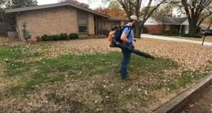 Can you use a Leaf Vacuum on Wet Leaves?
